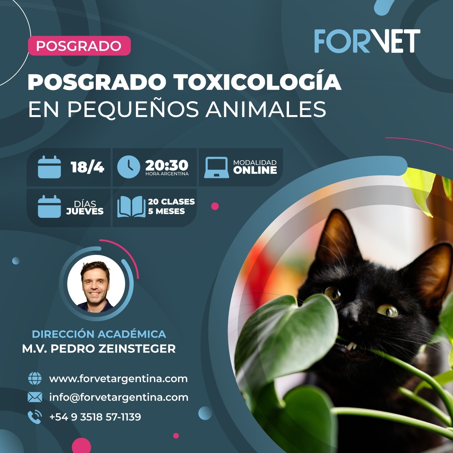 Posgrado «TOXICOLOGÍA EN PEQUEÑOS ANIMALES»