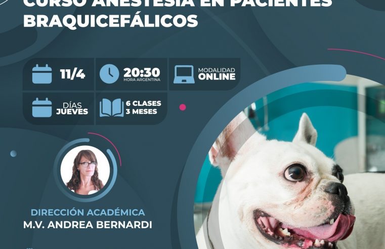 Curso «ANESTESIA EN PACIENTES BRAQUICEFÁLICO»