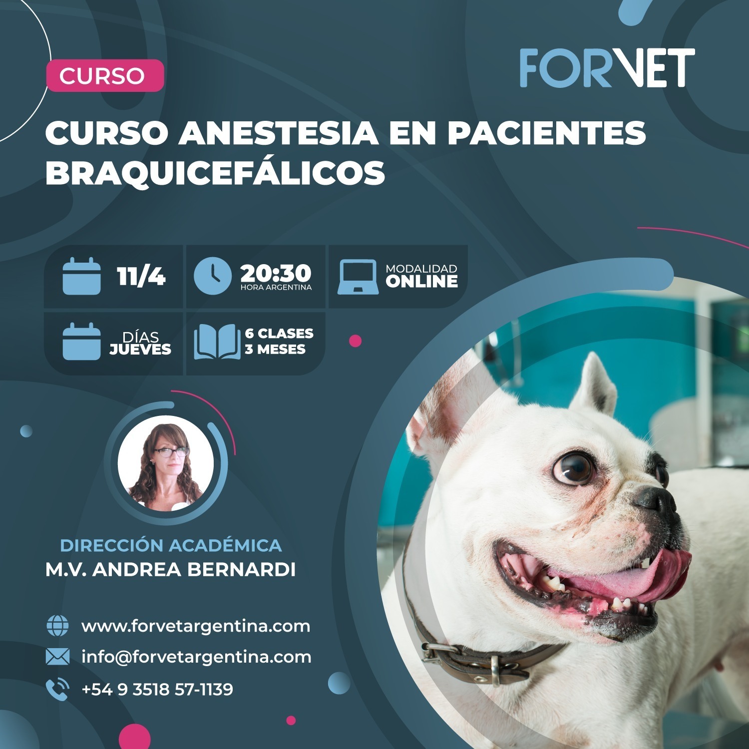 Curso «ANESTESIA EN PACIENTES BRAQUICEFÁLICO»