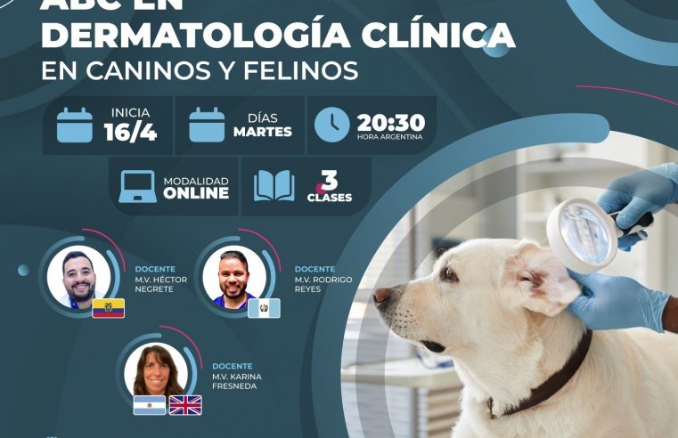 Curso «ABC EN DERMATOLOGÍA CLÍNICA»