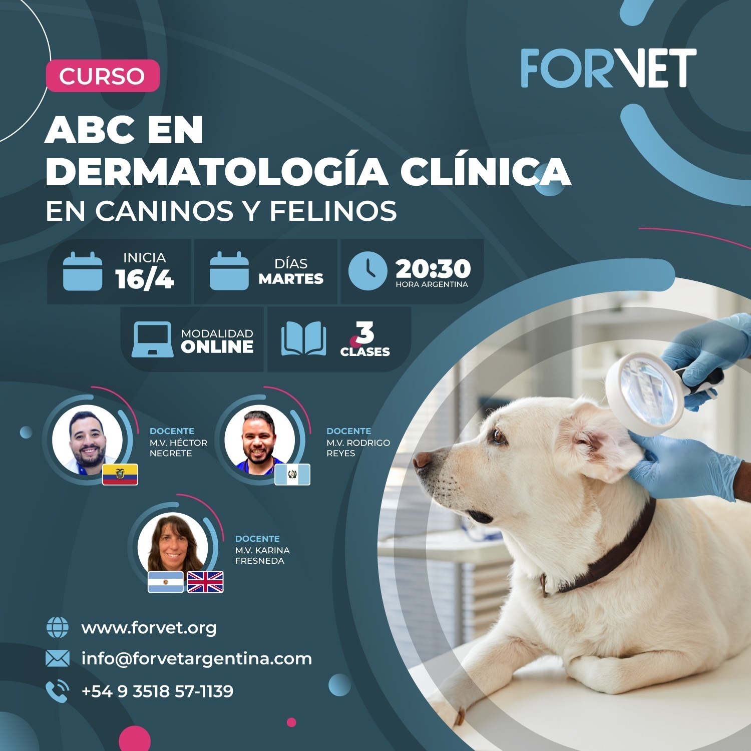 Curso «ABC EN DERMATOLOGÍA CLÍNICA»