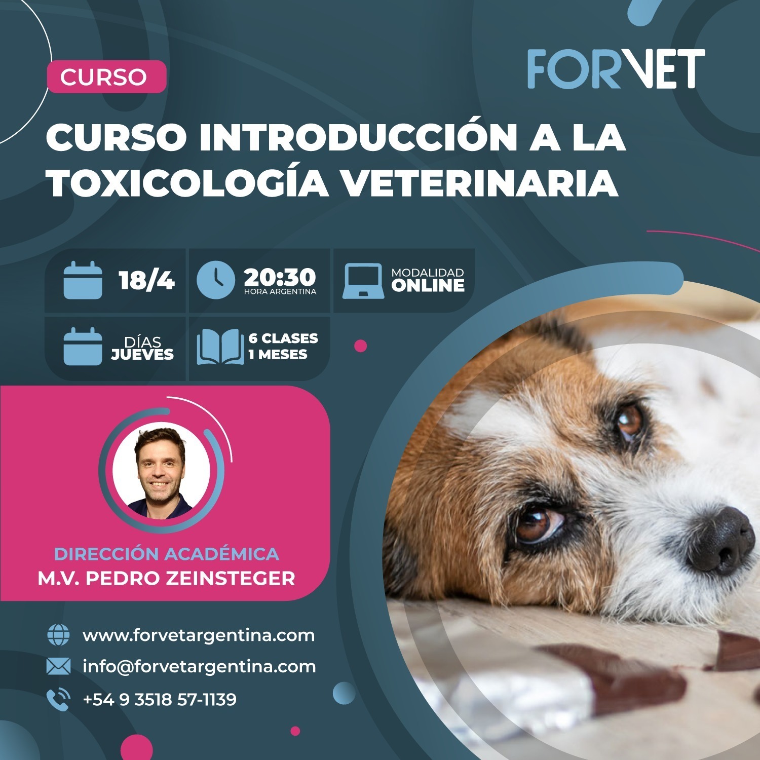 Curso «INTRODUCCIÓN A LA TOXICOLOGÍA VETERINARIA»