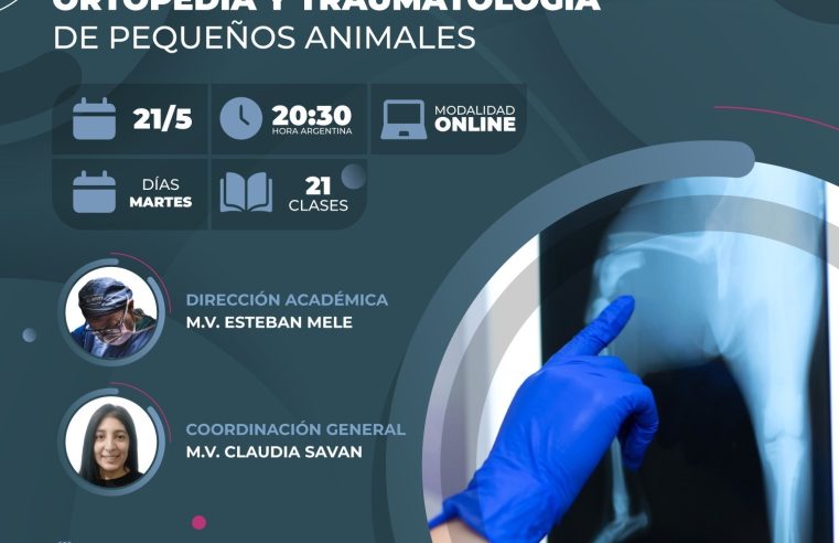 Posgrado «ORTOPEDIA Y TRAUMATOLOGÍA EN PEQUEÑOS ANIMALES»