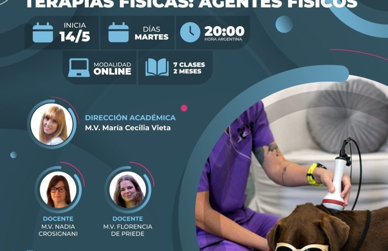 Curso «Terapias físicas: agentes físicos»