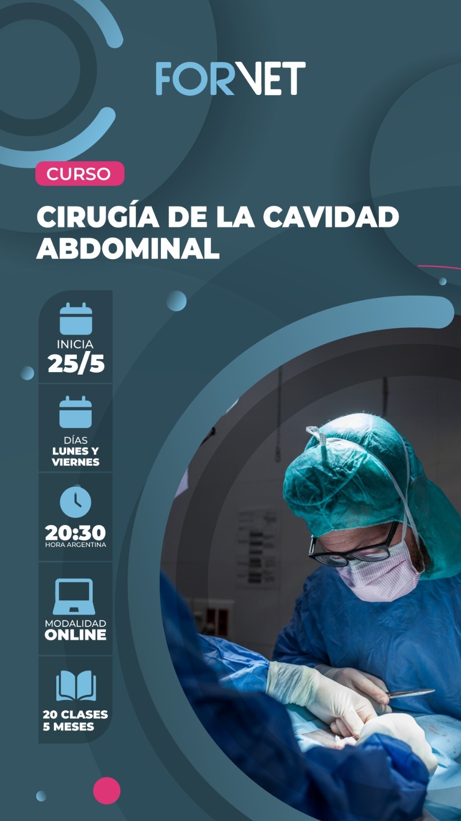 Curso «Cirugía de cavidad abdominal»