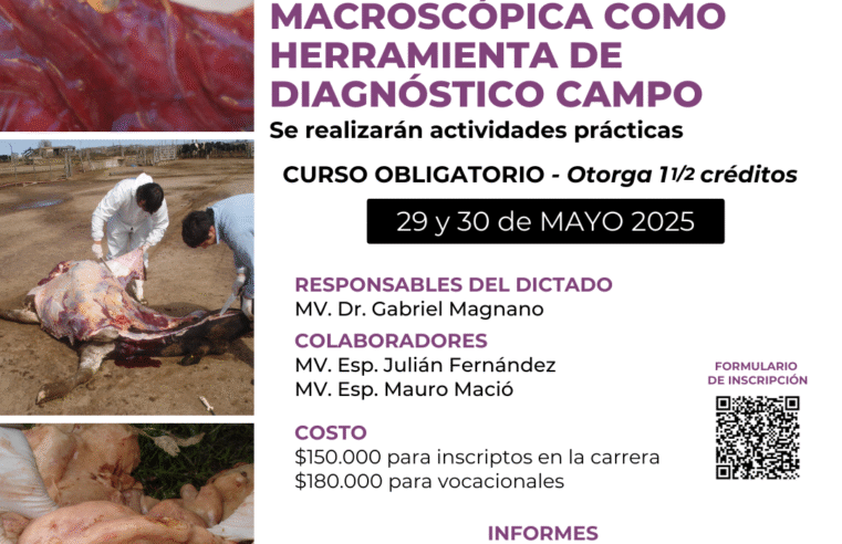 Curso «Patología macroscópica como herramienta de diagnóstico campo»