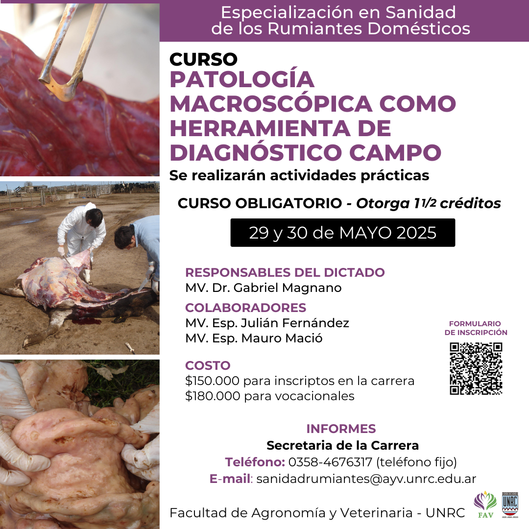 Curso «Patología macroscópica como herramienta de diagnóstico campo»