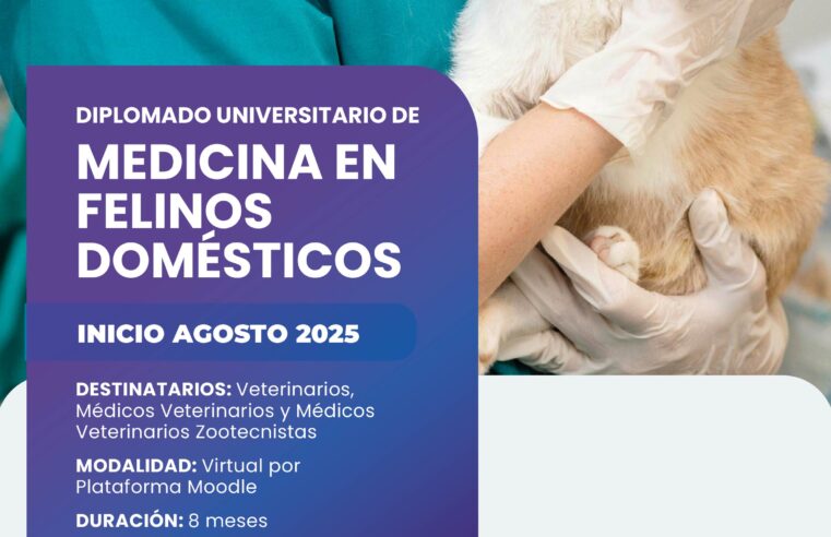 Diplomatura en «Medicina Felina» en la Umaza