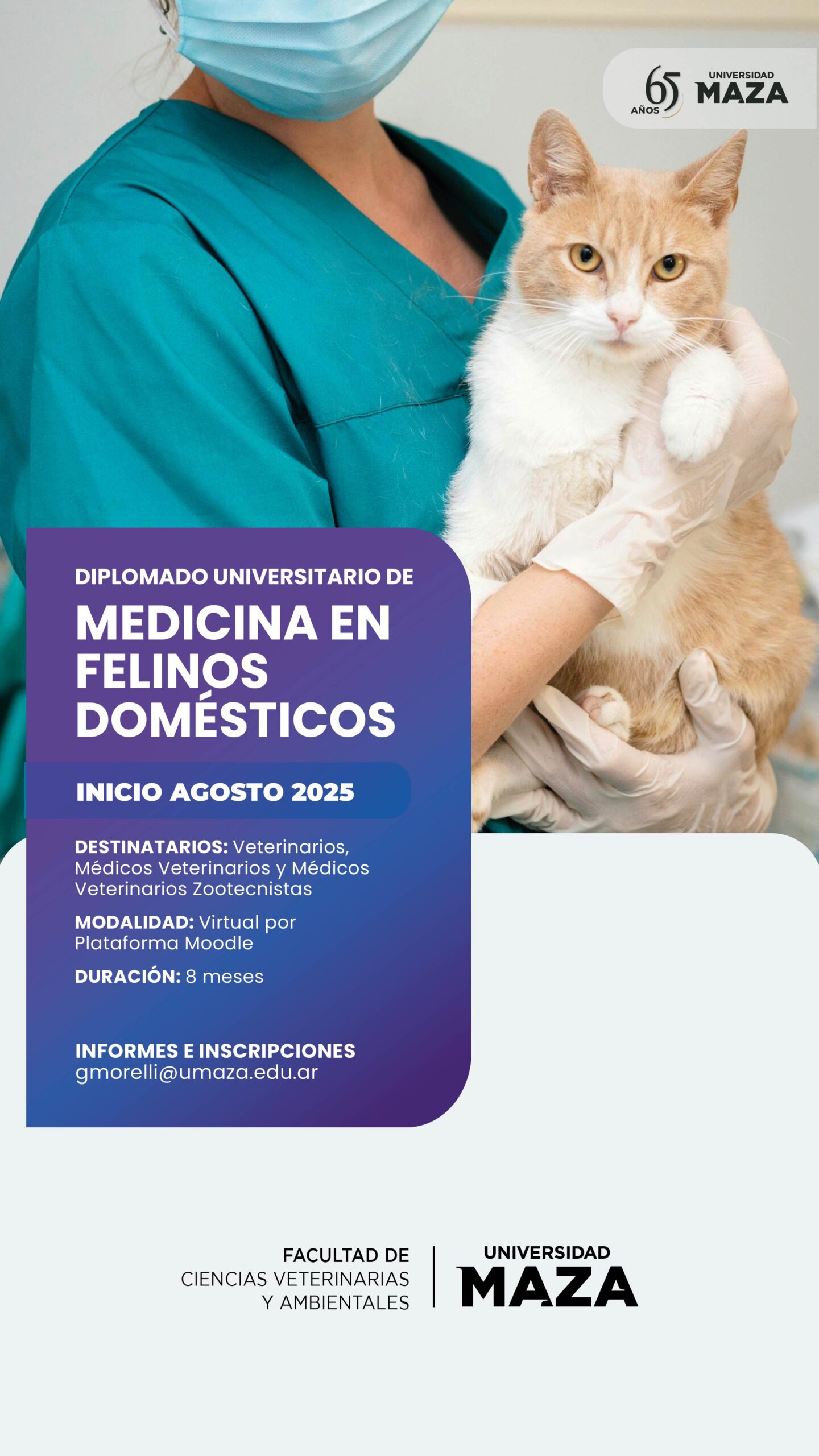 Diplomatura en «Medicina Felina» en la Umaza