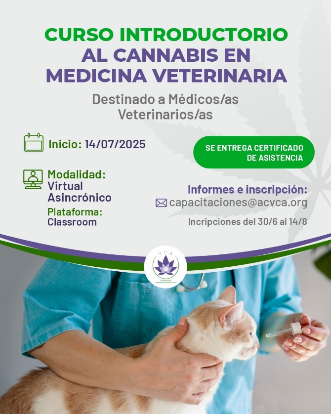 Curso Introductorio al Cannabis en Medicina Veterinaria – 100% Online