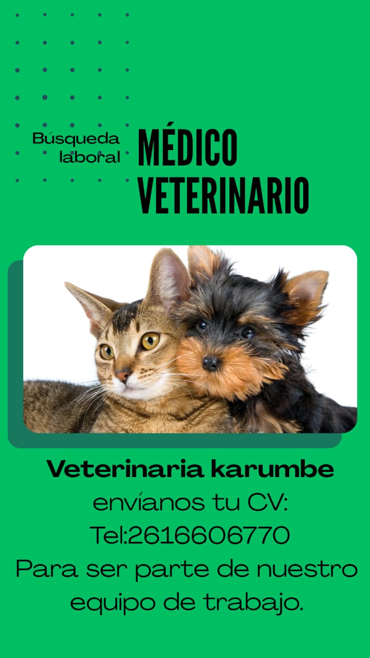 Oferta laboral «Veterinaria Karumbe»