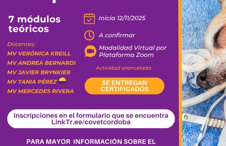 Becas: Capacitación de Anestesiología 2: TIVA para clínicos