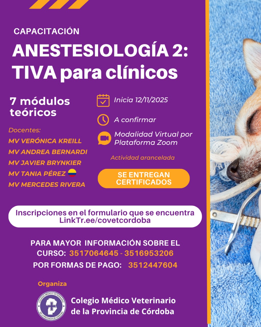 Becas: Capacitación de Anestesiología 2: TIVA para clínicos
