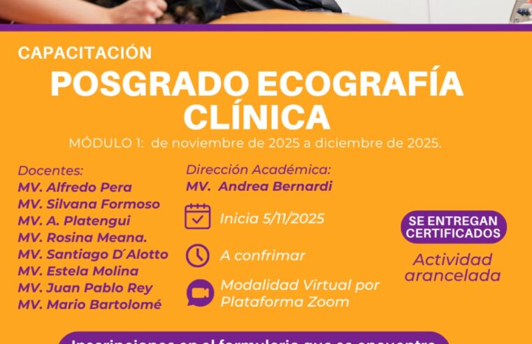 Becas «Posgrado de Ecografía Clínica»