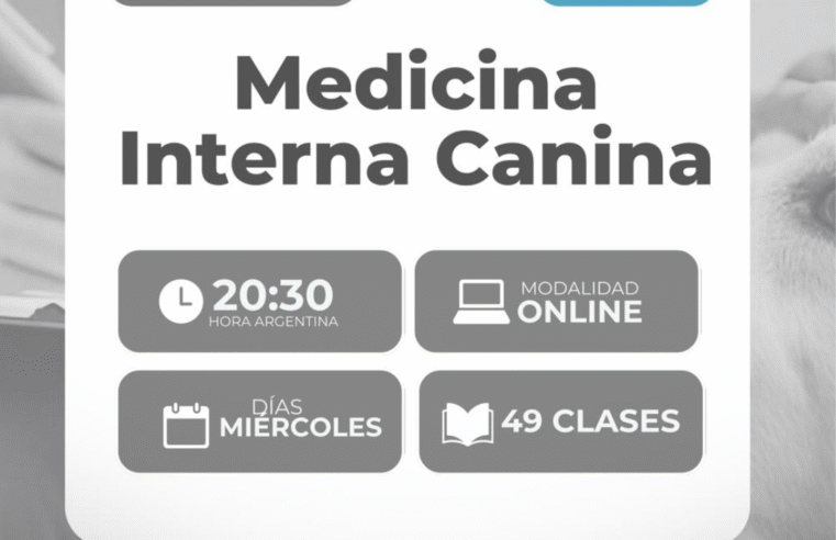Becas para el «DIPLOMADO DE MEDICINA INTERNA CANINA»