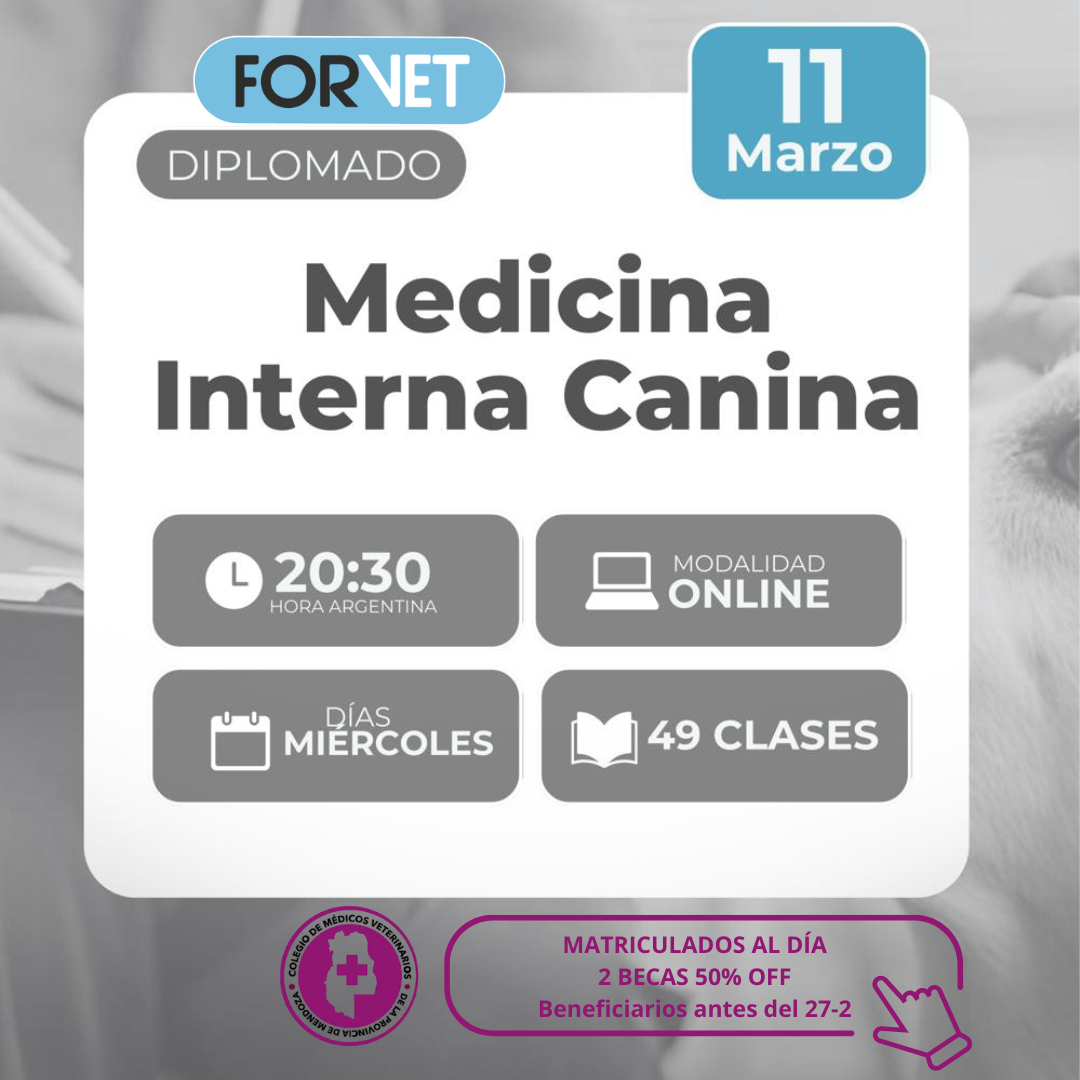 Becas para el «DIPLOMADO DE MEDICINA INTERNA CANINA»