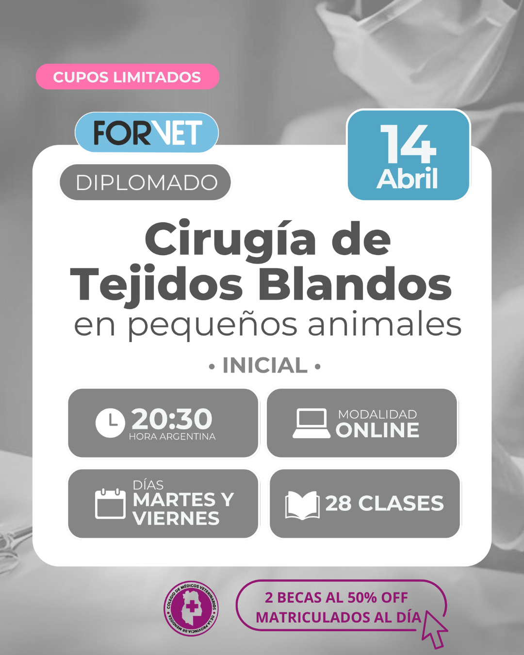 Diplomado «Cirugía de Tejidos Blandos»