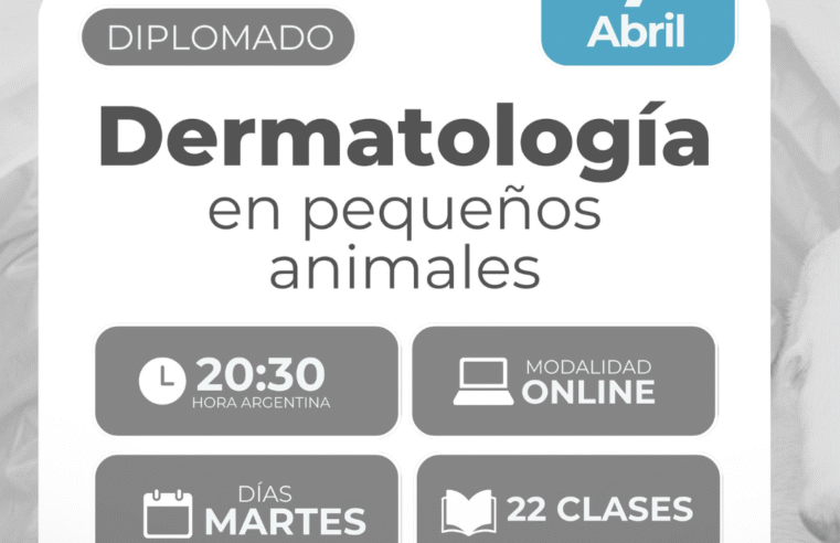 Diplomado «Dermatología en Pequeños Animales»
