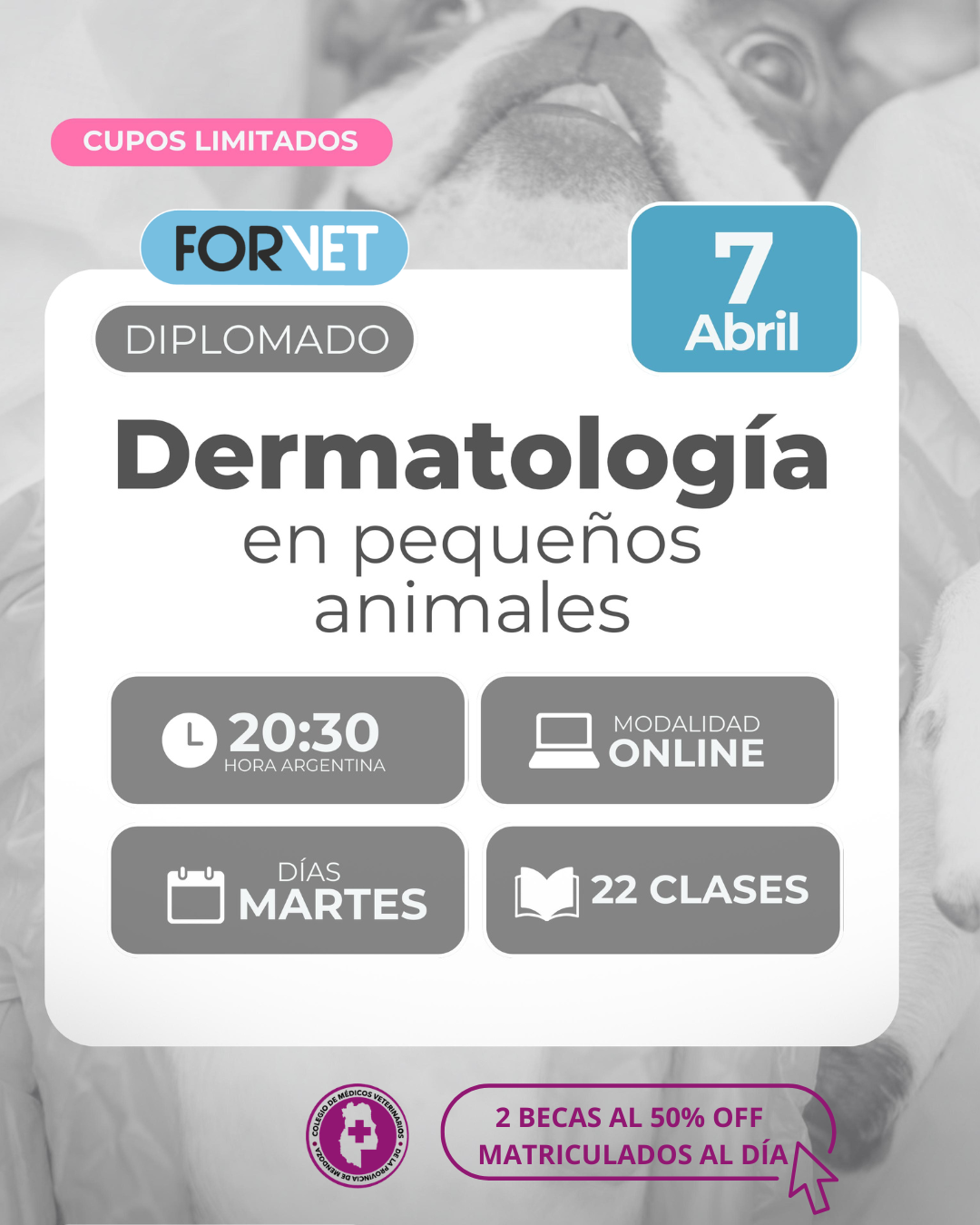 Diplomado «Dermatología en Pequeños Animales»