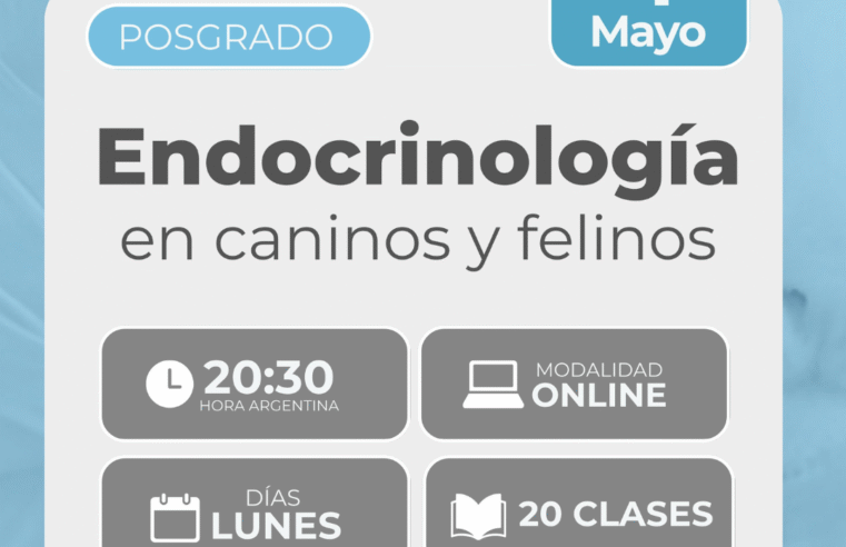 Posgrado en «Endocrinología en caninos y felinos»