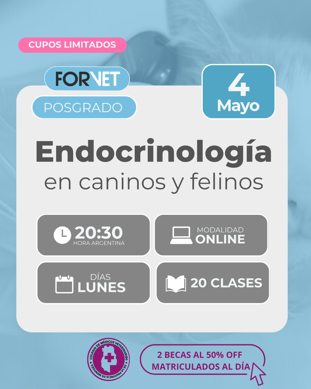 Posgrado en «Endocrinología en caninos y felinos»