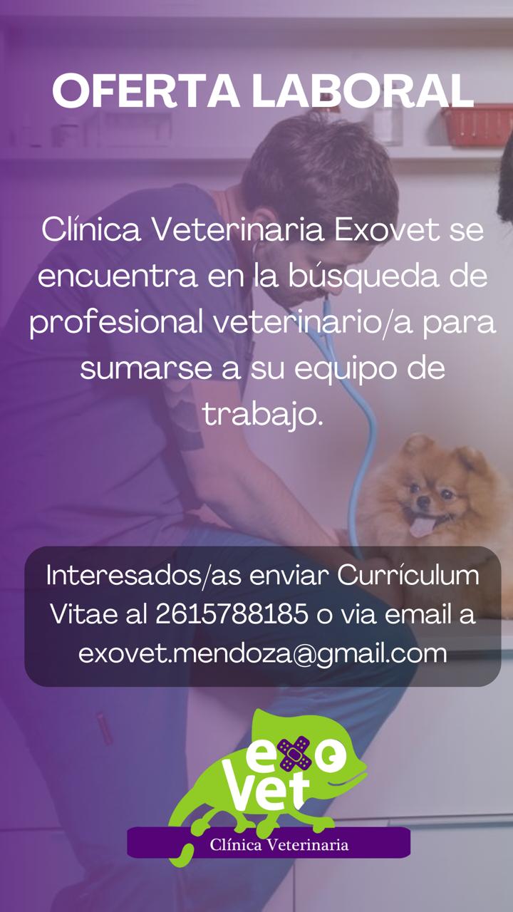 Oferta laboral «Clínica Exovet»