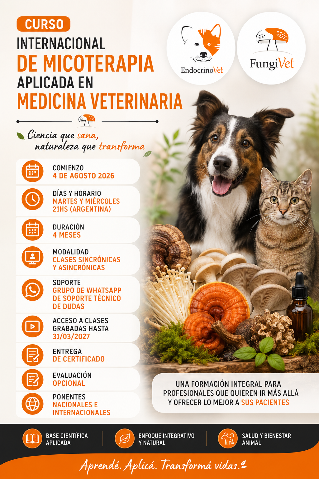 Curso «Micoterapia Aplicada a Medicina Veterinaria»