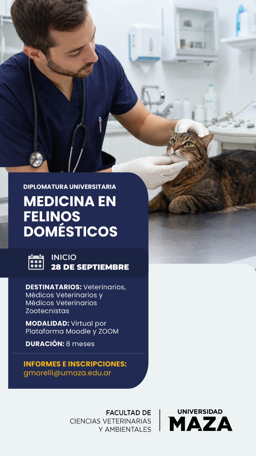 Diplomatura «Medicina Felina»
